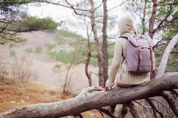 Chica viajera sentada en el tronco del árbol — Foto de Stock