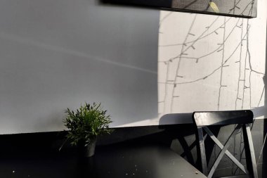 Bitkili bir masa. Duvardaki gölgeler