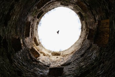 Kuş kule üzerinde uçuyor.