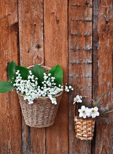 Two baskets of lilies and daffodils — Stock Photo, Image