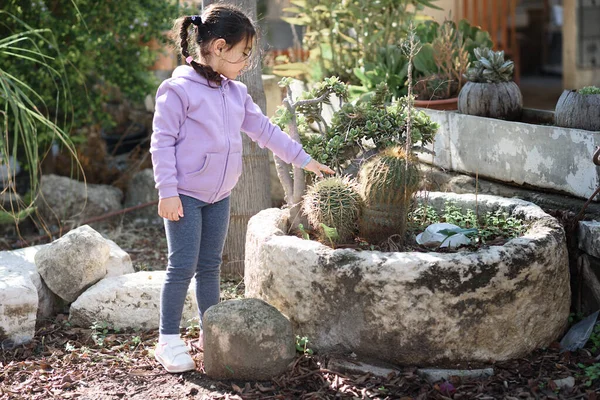 Дівчина-тодлер торкається шипів на рослині кактуса на відкритому повітрі . — стокове фото