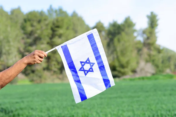Bandeira de Israel, mão de homem, céu azul, prado de trigo, árvores. — Fotografia de Stock