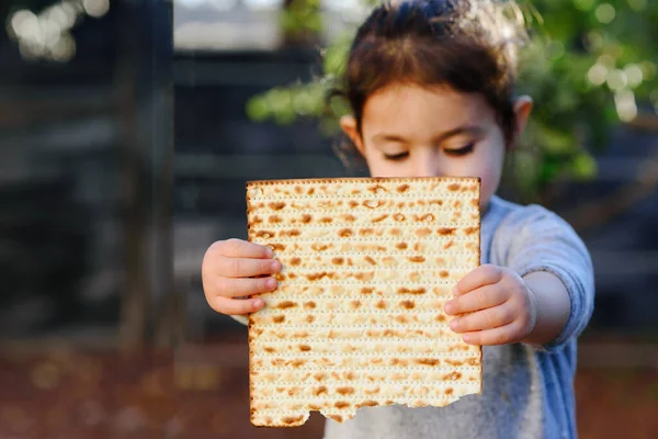Elinde matza tutan küçük şirin çocuğun portresi. Yahudi bayramında mayasız ekmek yiyen Yahudi kız. Pesach daveti veya tebrik kartı.