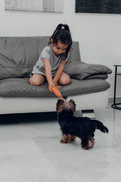 Little Yorkshire Terrier Playing With Kids. Yorkie Dog And Child In Home.