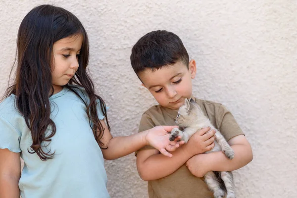 Ragazzo che tiene in braccio il gatto. Bambini piccoli con un nuovo cucciolo carino gattino. — Foto Stock