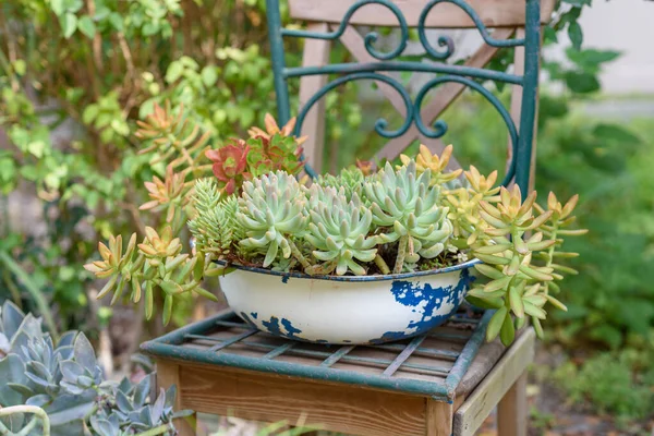 Reduce, reuse, recycle planter craft ideas.Recycled garden design and low-waste lifestyle.