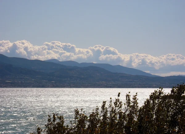 木々の海と山 — ストック写真