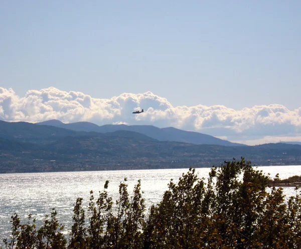 Δέντρα θάλασσα και βουνό 3 — Φωτογραφία Αρχείου