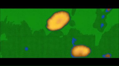 Odak, ön planda sarı bir çiçek ile arka planda sallanan çimenler arasında çekilir.