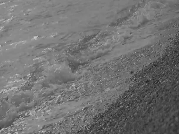 Shore (b&w) — Stok video