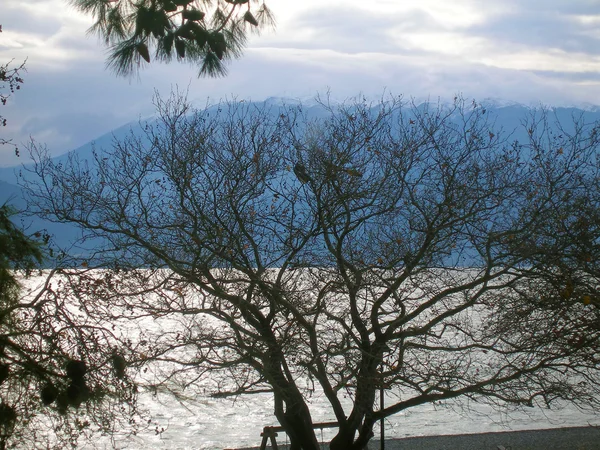 Invierno en la playa — Foto de Stock