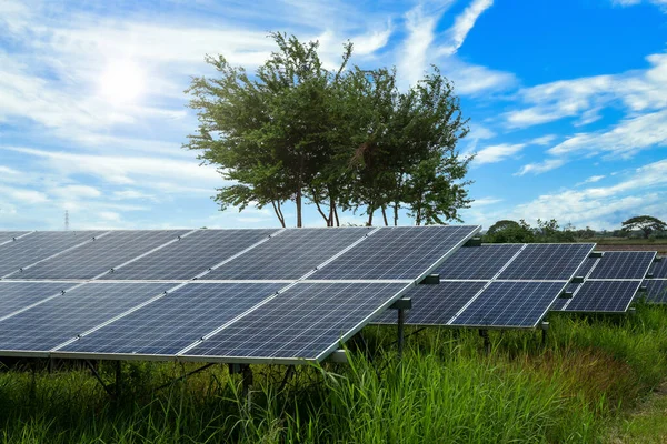 Moduli Fotovoltaici Impianto Energia Solare Albero Verde Vista Paesaggio Primavera — Foto Stock