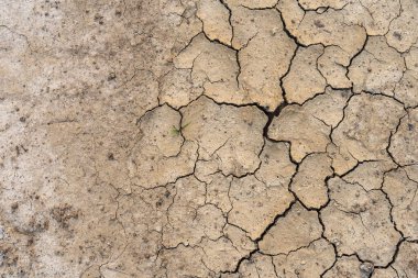 Kahverengi kuru toprak ya da çöl çatlamış toprak dokusu arka plan, karada kurak toprak ısınması.