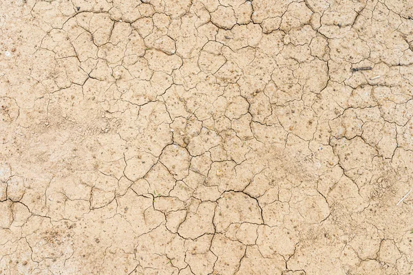 Kahverengi kuru toprak ya da çöl çatlamış toprak dokusu arka plan, karada kurak toprak ısınması.