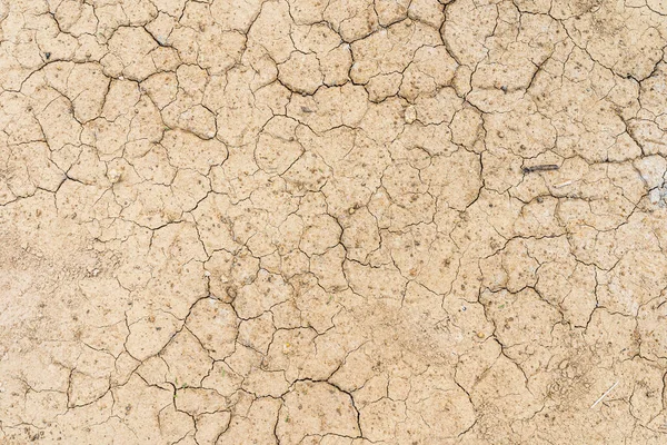 Kahverengi kuru toprak ya da çöl çatlamış toprak dokusu arka plan, karada kurak toprak ısınması.
