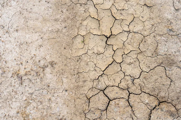 Suelo Seco Marrón Fondo Textura Del Suelo Agrietado Desierto Tierra — Foto de Stock