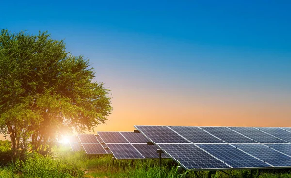 Fotovoltaik modüller ağaç yeşilindeki güneş enerjisi santrali dramatik gün batımı manzarası manzarası manzarasında bir çayır, temiz Alternatif enerji kavramı.