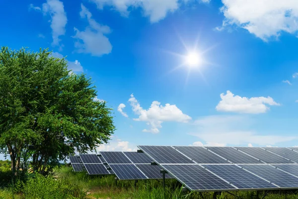Moduli Fotovoltaici Impianto Solare Albero Verde Foglie Con Prato Vista — Foto Stock