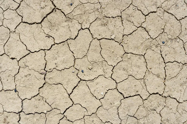 Suelo Seco Marrón Fondo Textura Del Suelo Agrietado Desierto Tierra — Foto de Stock