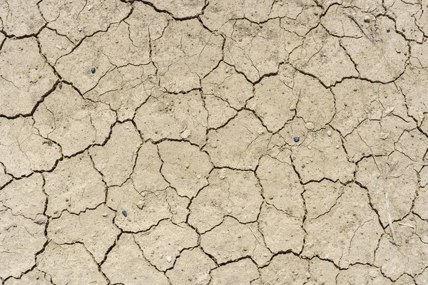 Suelo Seco Marrón Fondo Textura Del Suelo Agrietado Desierto Tierra — Foto de Stock