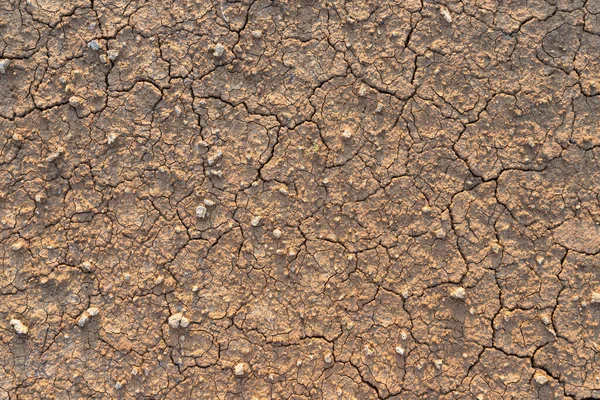 Brown Dry Soil Desert Cracked Ground Texture Background Land Arid — Stock Photo, Image
