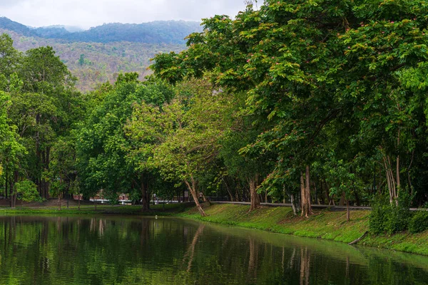 Doğa Ormanı Ndaki Ang Kaew Chiang Mai Üniversitesi Nin Manzara — Stok fotoğraf