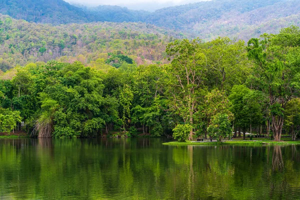 Вигляд Ландшафтного Озера Університеті Енг Кео Чіанг Май Природній Лісовій — стокове фото