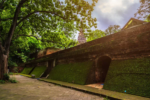 Antico Tunnel Wat Umong Suan Puthanatham Tempio Buddista Una Grande — Foto Stock