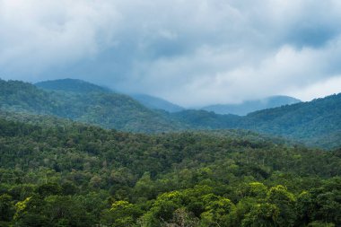 Doğa Ormanı 'ndaki Ang Kaew Chiang Mai Üniversitesi' nin manzara manzarası..