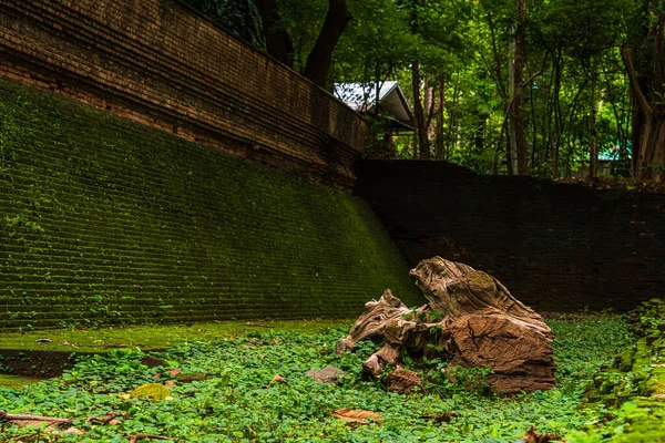 Túnel Antigo Wat Umong Suan Puthanatham Templo Budista Uma Grande — Fotografia de Stock