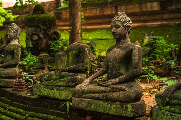 Ősi Buddha Figurák Wat Umong Suan Puthatham Egy Buddhista Templom — Stock Fotó