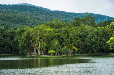 Doğa Ormanı 'ndaki Ang Kaew Chiang Mai Üniversitesi' nin manzara manzarası..