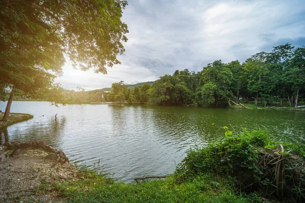 Krajina Jezero Názory Ang Kaew Chiang Mai University Přírodě Les — Stock fotografie