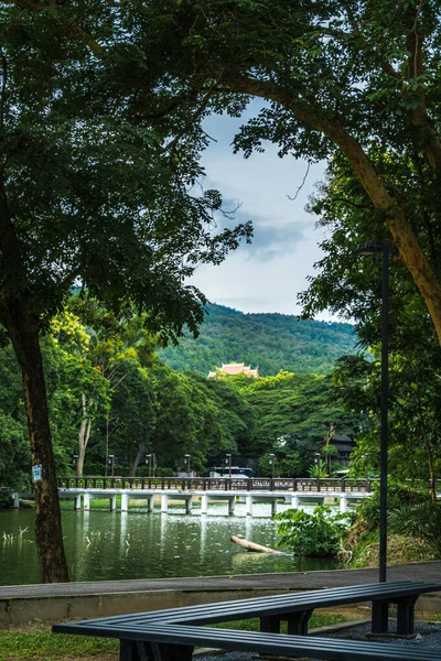 Doğadaki Ang Kaew Chiang Mai Üniversitesi Ndeki Ağacın Altındaki Bank — Stok fotoğraf