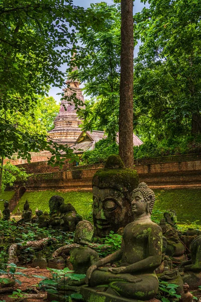 Ősi Buddha Figurák Wat Umong Suan Puthatham Egy Buddhista Templom — Stock Fotó