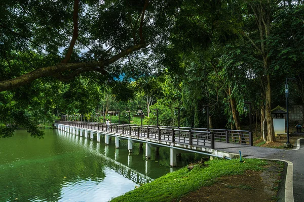 Bridge Road Pfad Park Für Entspannende Spaziergänge Jogging Landschaft Seeblick — Stockfoto