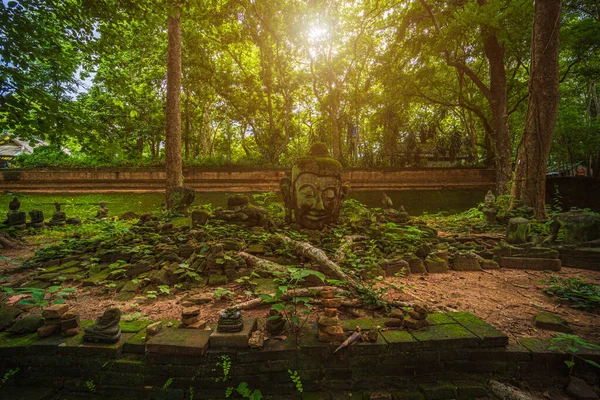 Ősi Buddha Figurák Wat Umong Suan Puthatham Egy Buddhista Templom — Stock Fotó