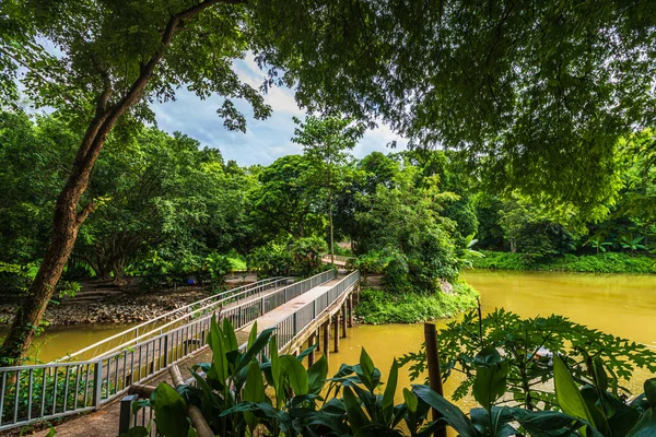 Doğal Park Wat Umong Suan Puthanatham Tayland Chiang Mai Kentinde — Stok fotoğraf