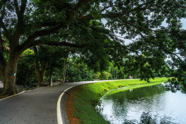 Doğa Ormanı 'ndaki Ang Kaew Chiang Mai Üniversitesi' nde yürüyüş için yürüyüş yolu. Beyaz bulutlu mavi gökyüzü manzaralı..