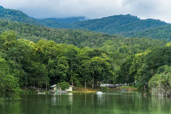 Krajina Jezero Názory Ang Kaew Chiang Mai University Přírodě Les — Stock fotografie