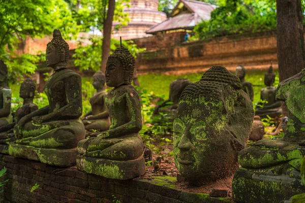 Ősi Buddha Figurák Wat Umong Suan Puthatham Egy Buddhista Templom — Stock Fotó