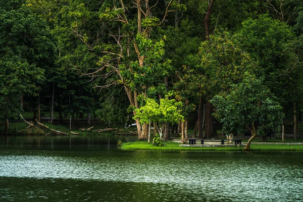 Doğa Ormanı Ndaki Ang Kaew Chiang Mai Üniversitesi Nin Manzara — Stok fotoğraf