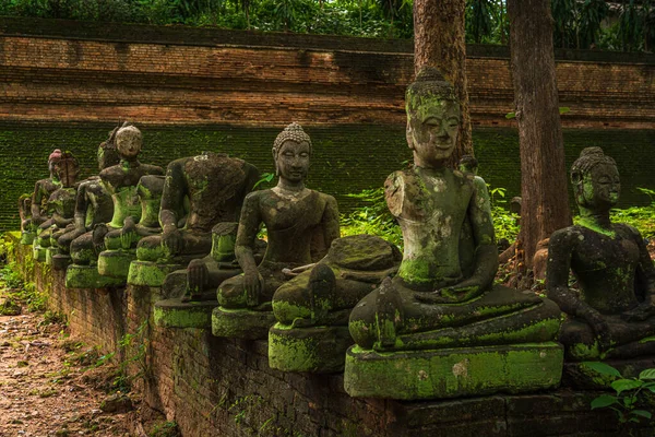 Ősi Buddha Figurák Wat Umong Suan Puthatham Egy Buddhista Templom — Stock Fotó