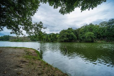 Doğa Ormanı 'ndaki Ang Kaew Chiang Mai Üniversitesi' nin manzara manzarası..