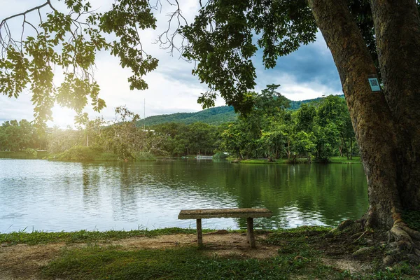 Bank Unter Dem Baum Park Der Ang Kaew Chiang Mai — Stockfoto