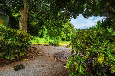 Doğal Park (Wat Umong Suan Puthanatham), Tayland 'ın Chiang Mai kentinde yeşil orman doğası ile önemli bir turistik merkezdir..