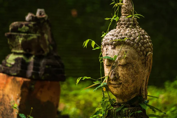 Ősi Buddha Figurák Wat Umong Suan Puthatham Egy Buddhista Templom — Stock Fotó