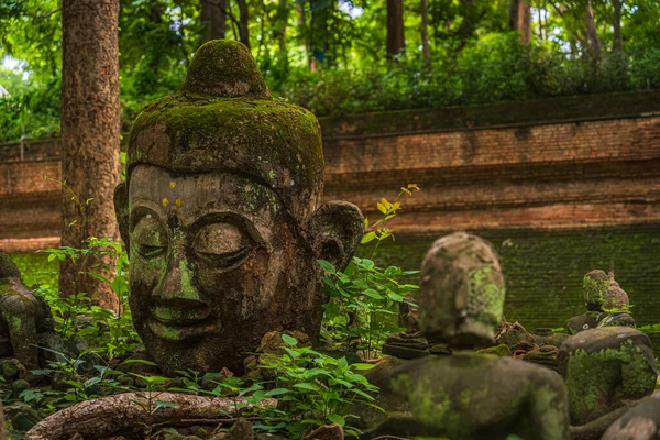 Ősi Buddha Figurák Wat Umong Suan Puthatham Egy Buddhista Templom — Stock Fotó