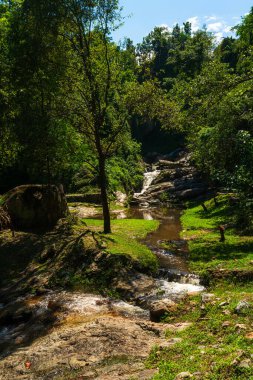 Huai Kaeo şelalesinde Huai Kaeo şelalesi. Tayland 'ın Chiang Mai şehrinde yeşil orman doğası ile turistik bir eğlence parkı..