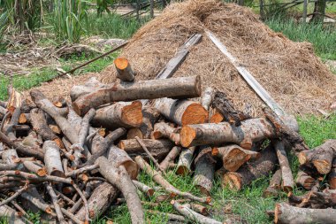 Evdeki odun yığınına sahip kütük orman ormanlarında saklanıyor ormandaki yeşil biyokütle enerjisi.